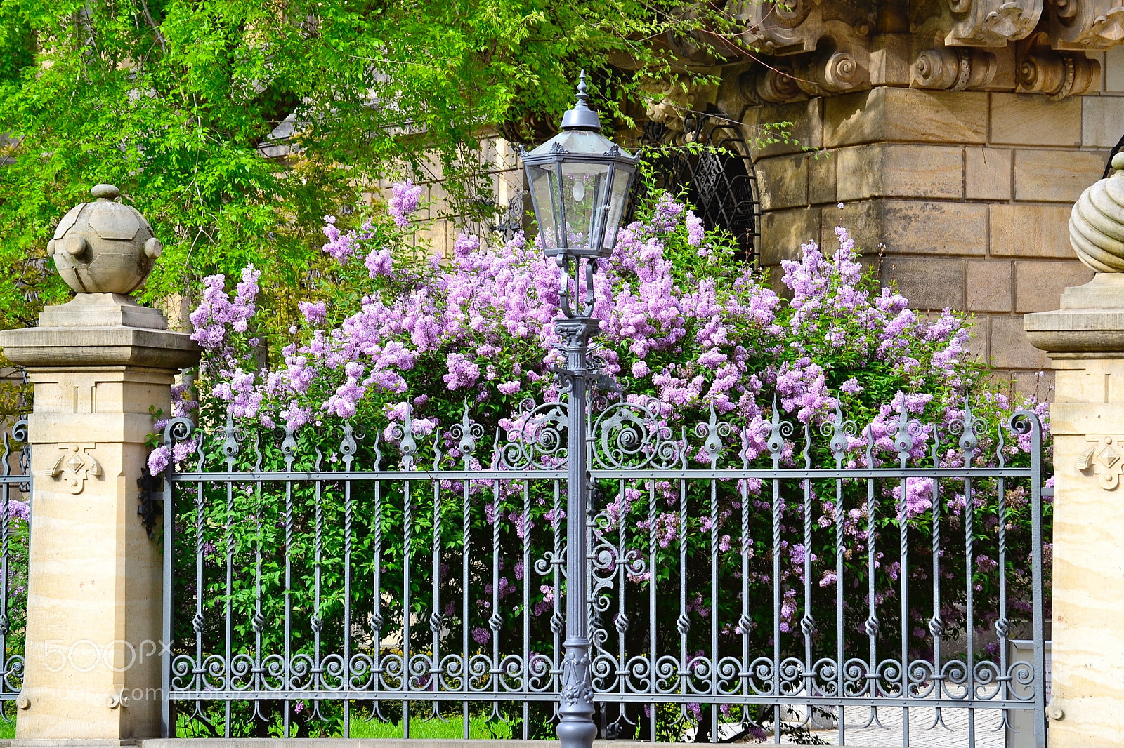 Nikon D3100 sample photo. Residenzschloss dresden photography