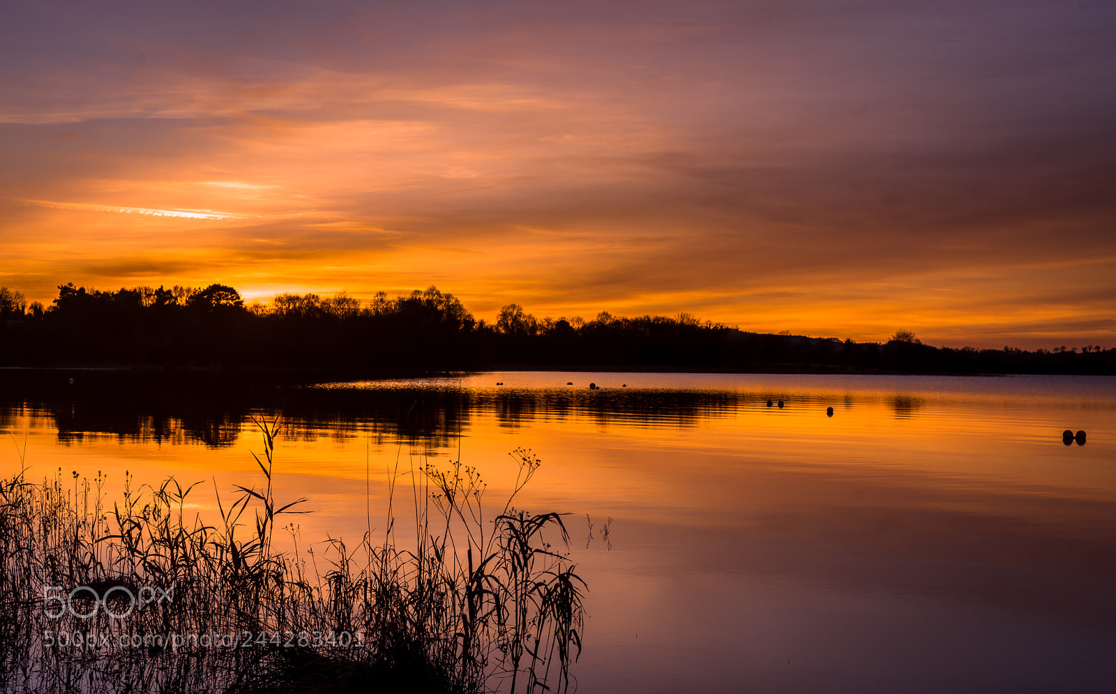 Nikon D610 sample photo. Sunset in the lake photography