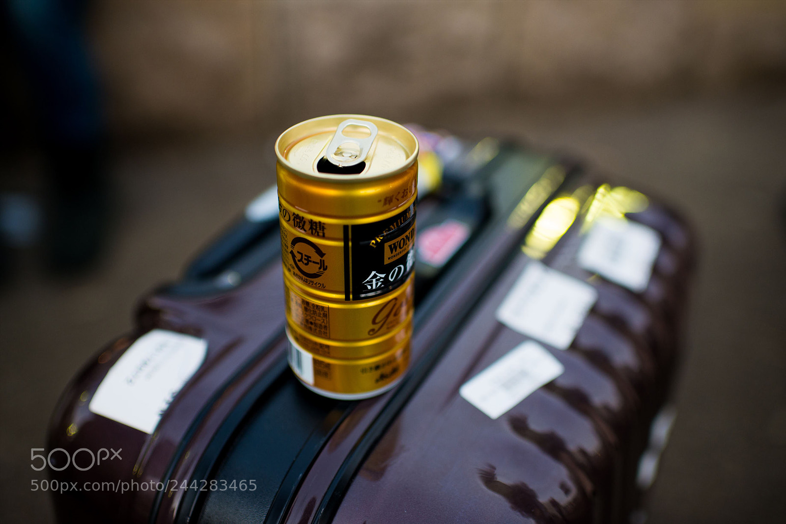 Nikon D800 sample photo. ジャンクフォト / junkphoto photography