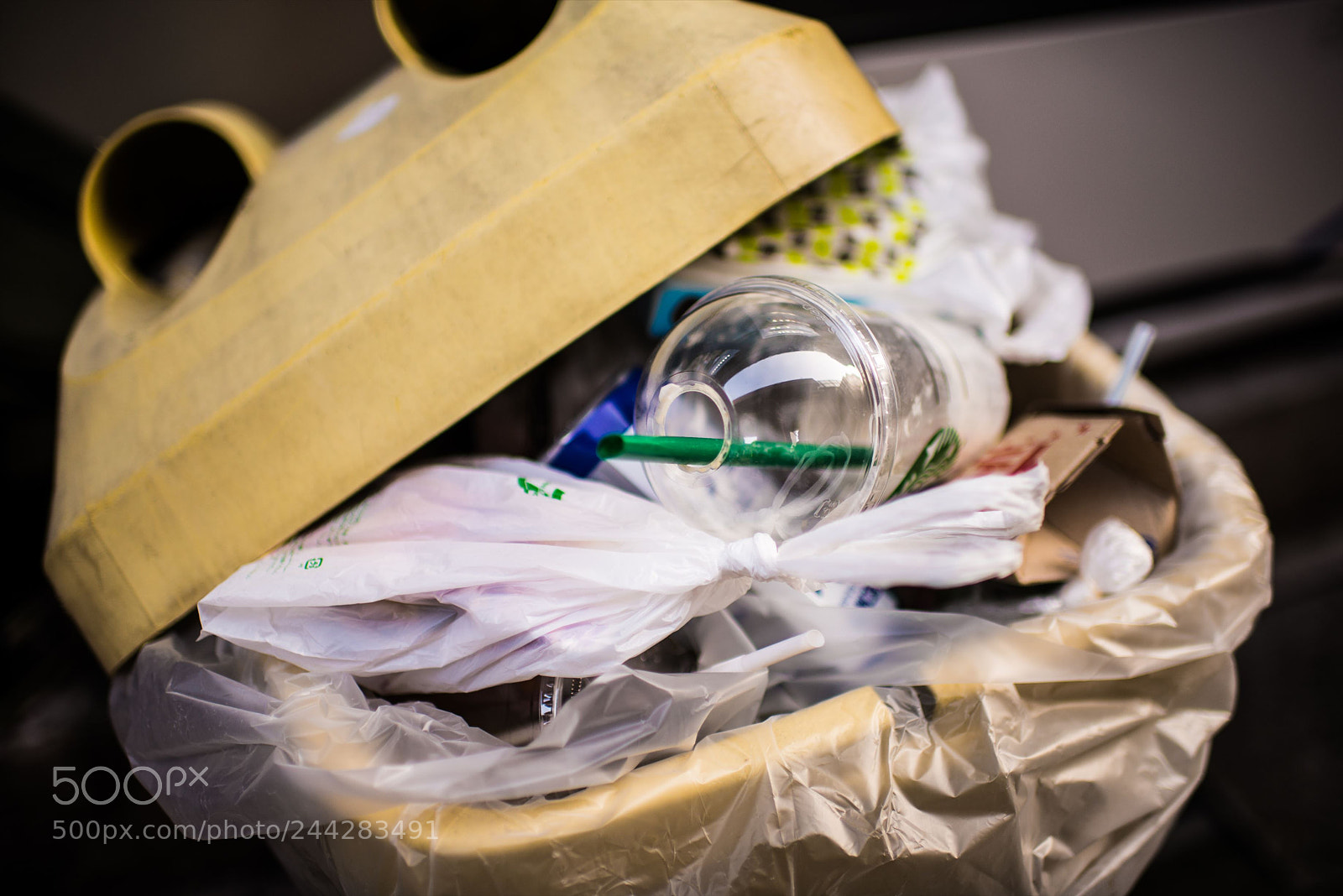 Nikon D800 sample photo. ジャンクフォト / junkphoto photography