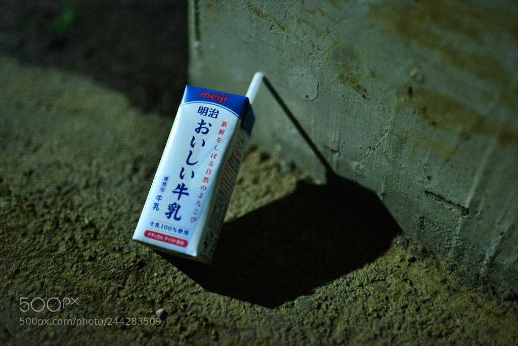 Nikon D800 sample photo. ジャンクフォト / junkphoto photography
