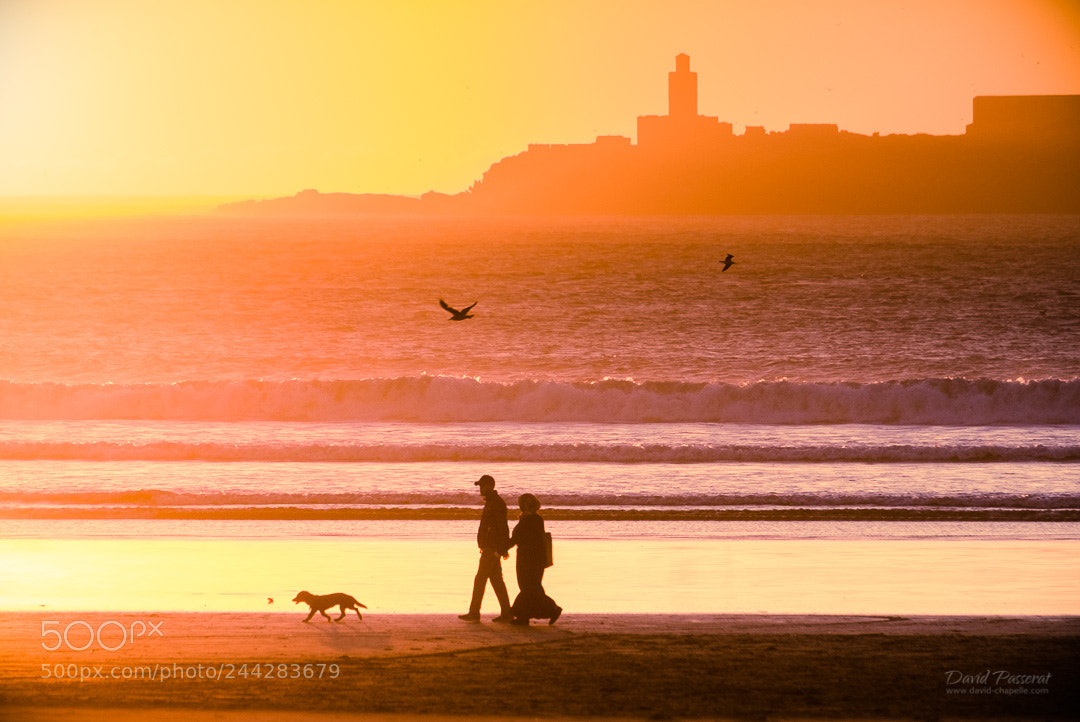 Fujifilm X-E1 sample photo. Walk on essaouira beach photography