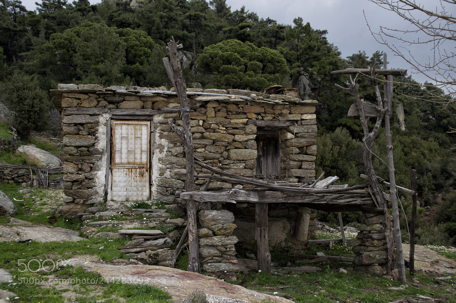 Nikon D3100 sample photo. Milas - mu la photography