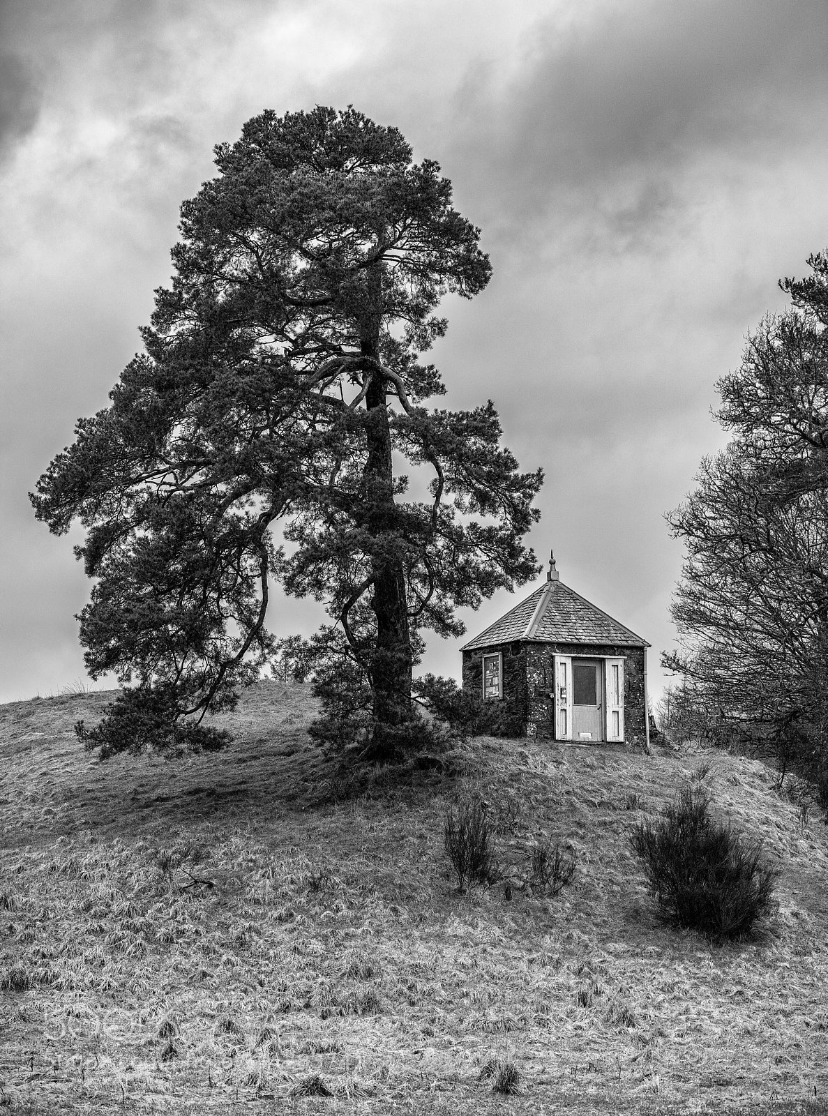 Nikon D810 sample photo. Earthquake house photography