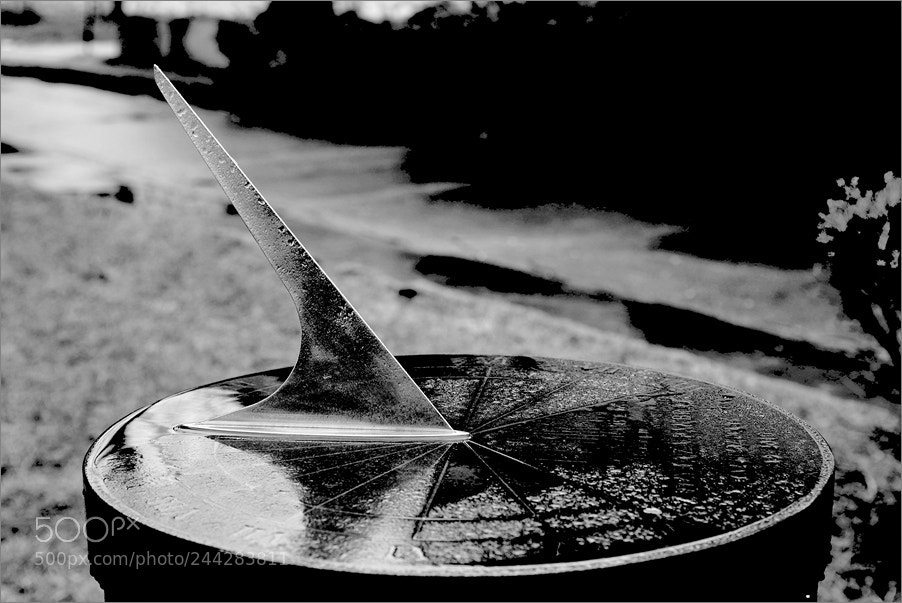 Nikon D610 sample photo. Shadows of time photography
