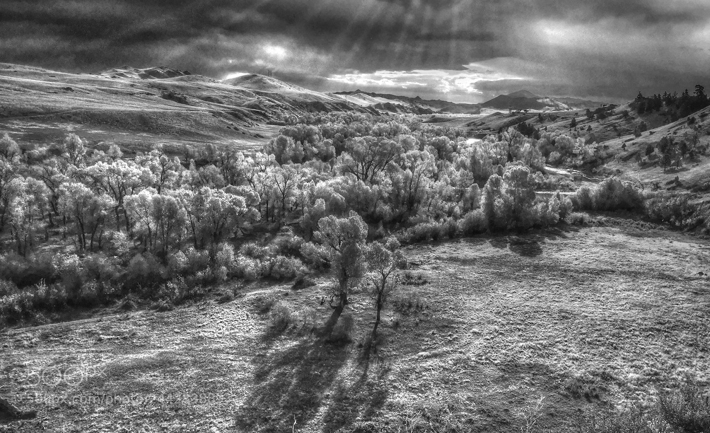 Apple iPad sample photo. Cottonwoods in marias river photography