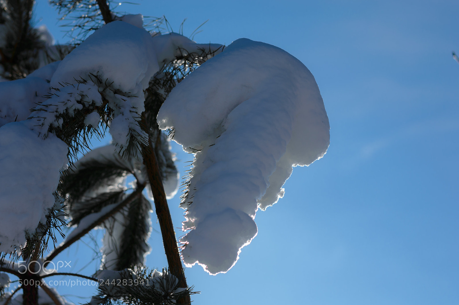 Nikon D3200 sample photo. Snow..... photography