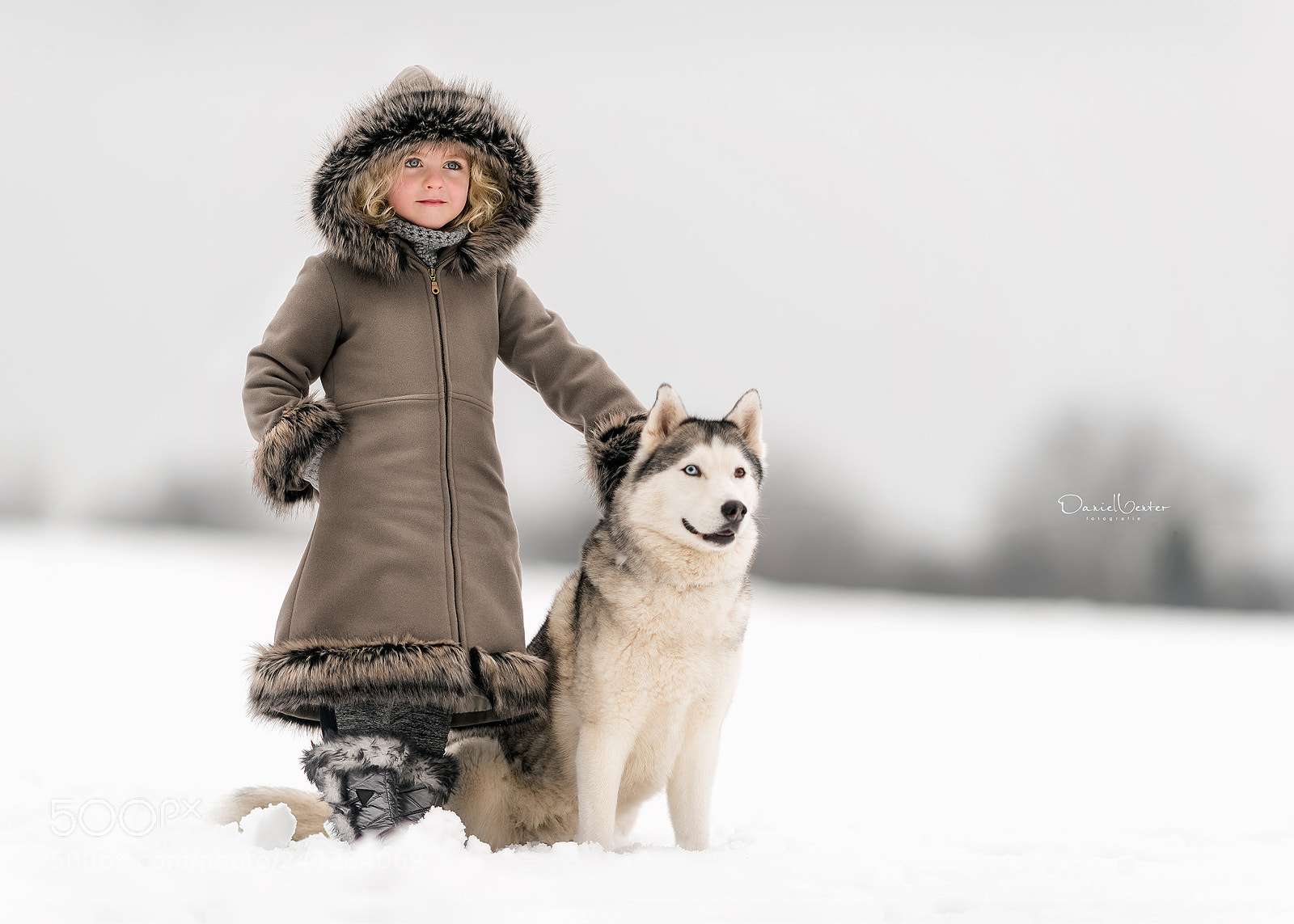 Nikon D810 sample photo. Arctic adventure photography