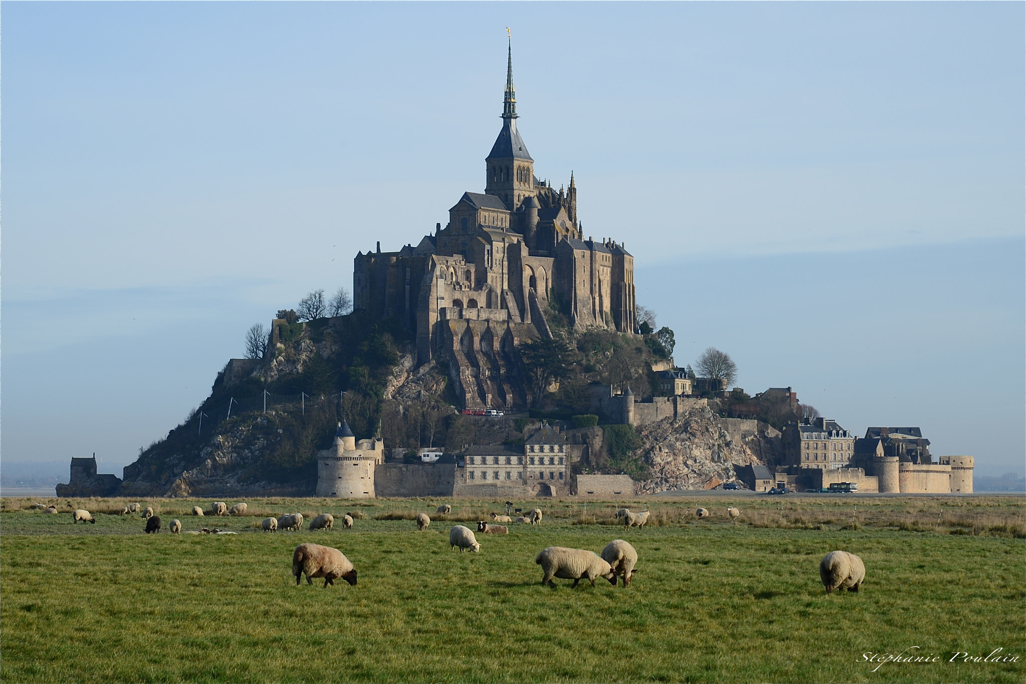 Nikon D610 sample photo. Mont saint michel et ses prés salés... photography