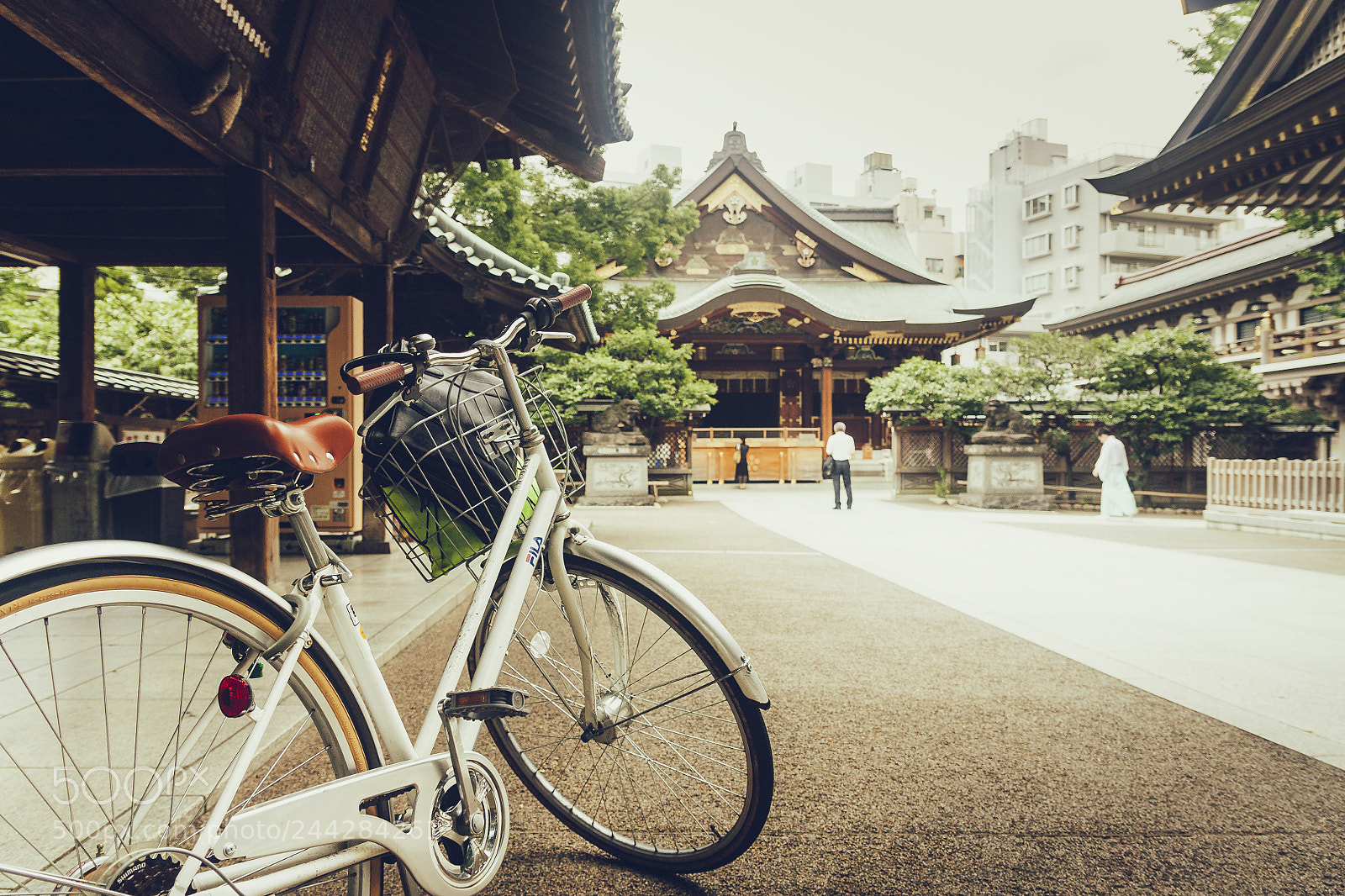 Canon EOS 450D (EOS Rebel XSi / EOS Kiss X2) sample photo. Bike at yushima tenmangu photography