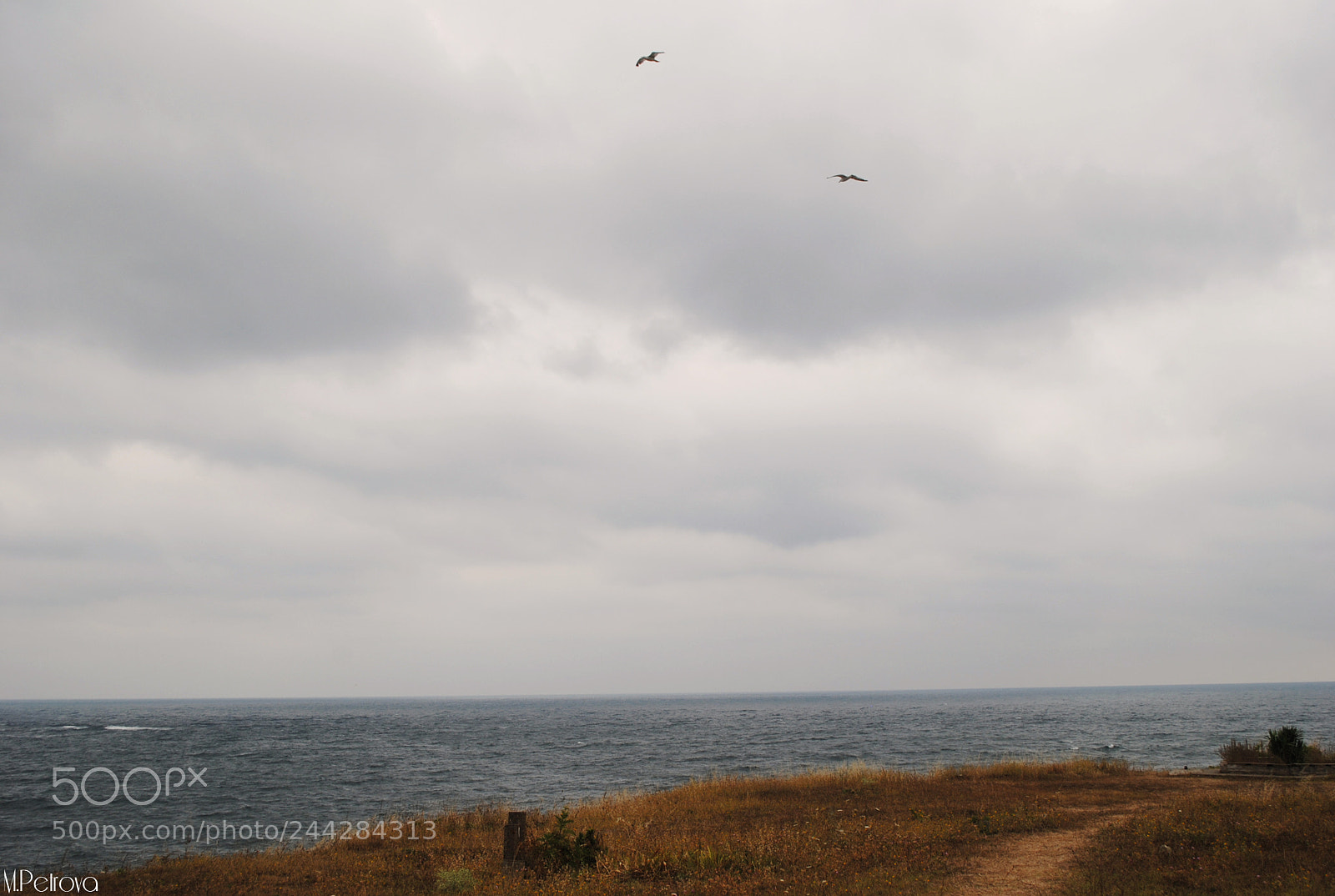 Nikon D3000 sample photo. Vitamin sea photography