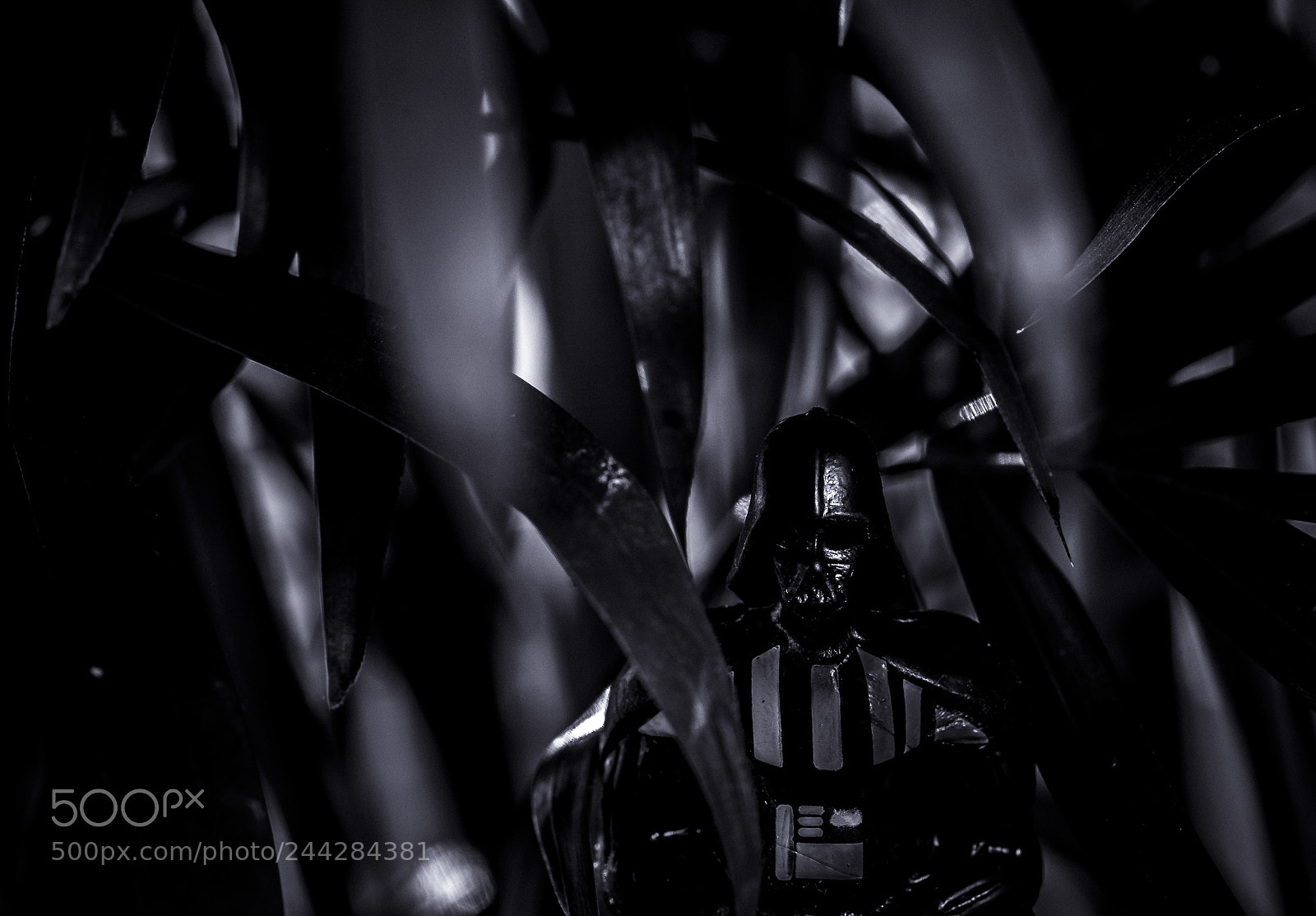 Nikon D610 sample photo. Darth vader photography