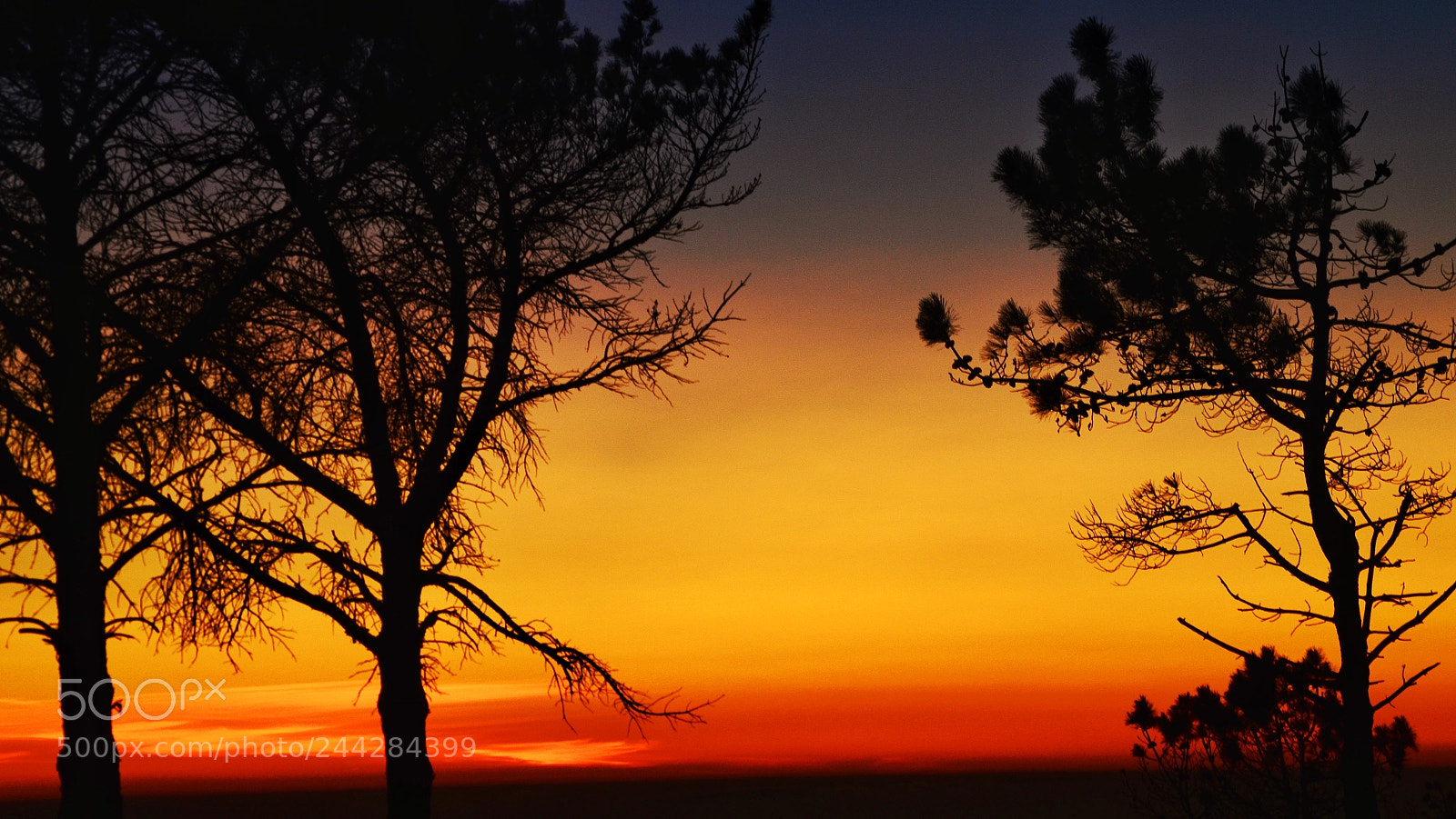 Nikon D5100 sample photo. Untitled photography