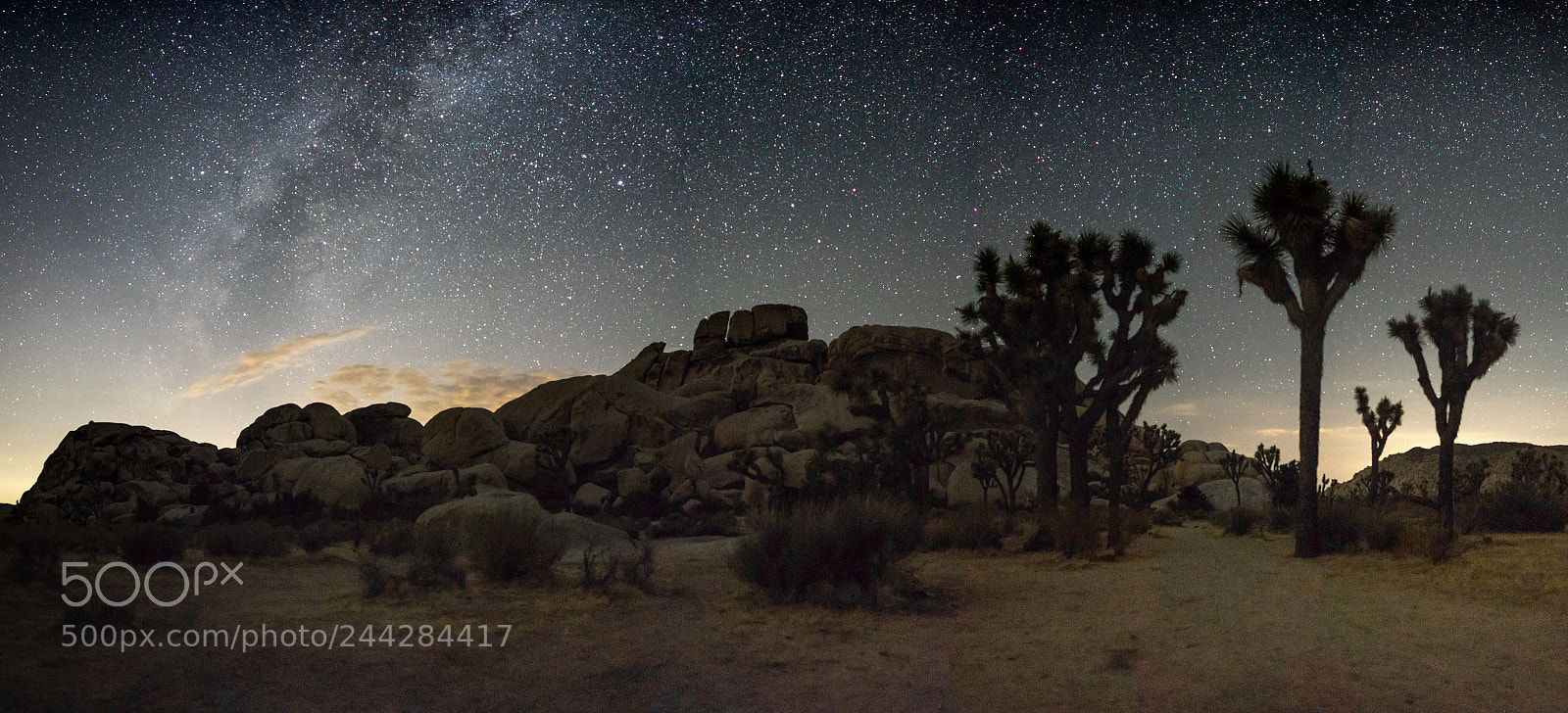 Sony a7 II sample photo. Joshua tree milky way photography