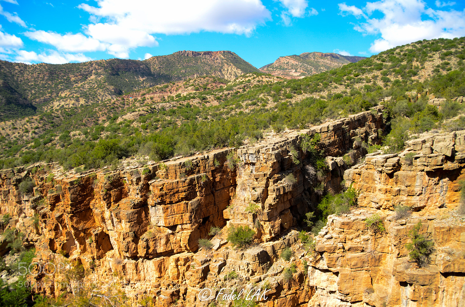 Nikon D5100 sample photo. Paradise valley photography