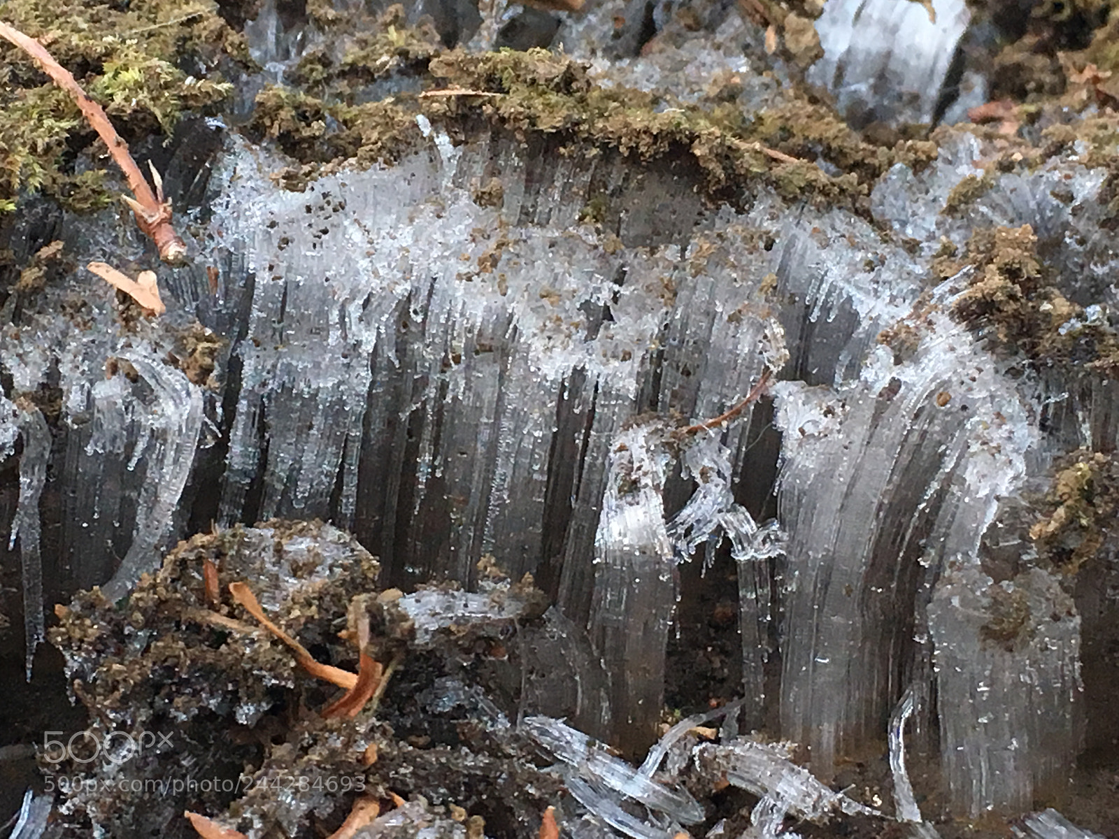 Apple iPhone 6s Plus sample photo. Winter2018 frostcolumns photography