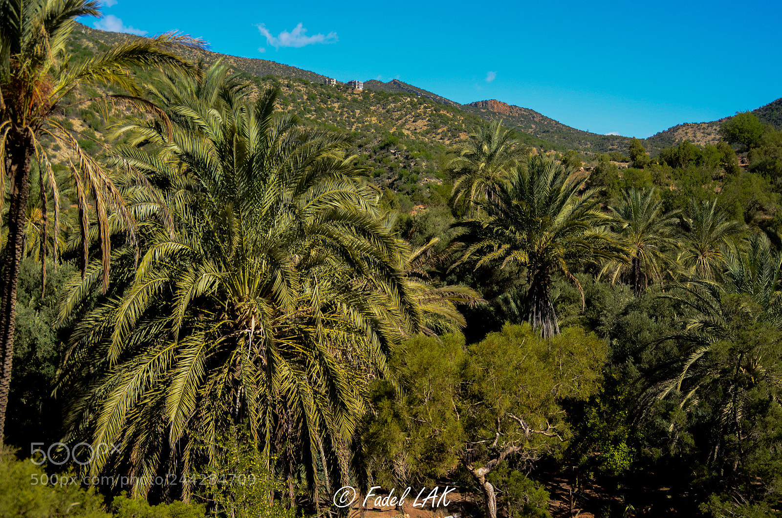 Nikon D5100 sample photo. Paradise valley photography