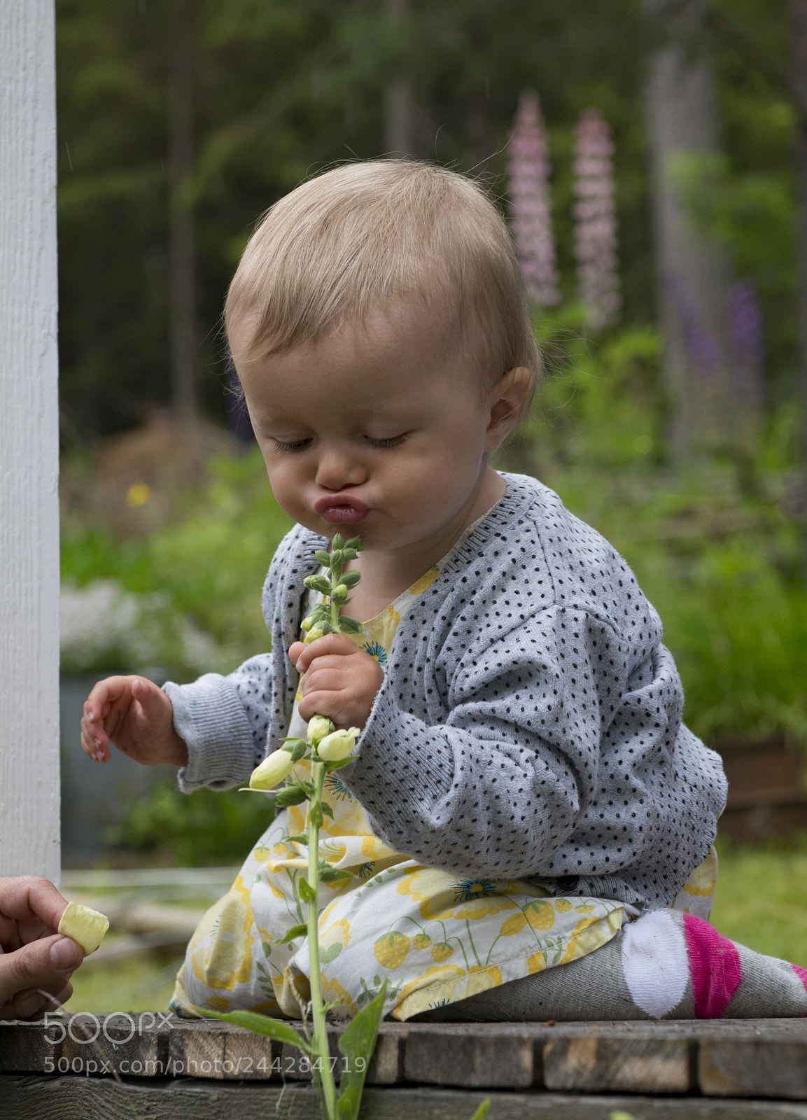 Nikon D800 sample photo. Untitled photography