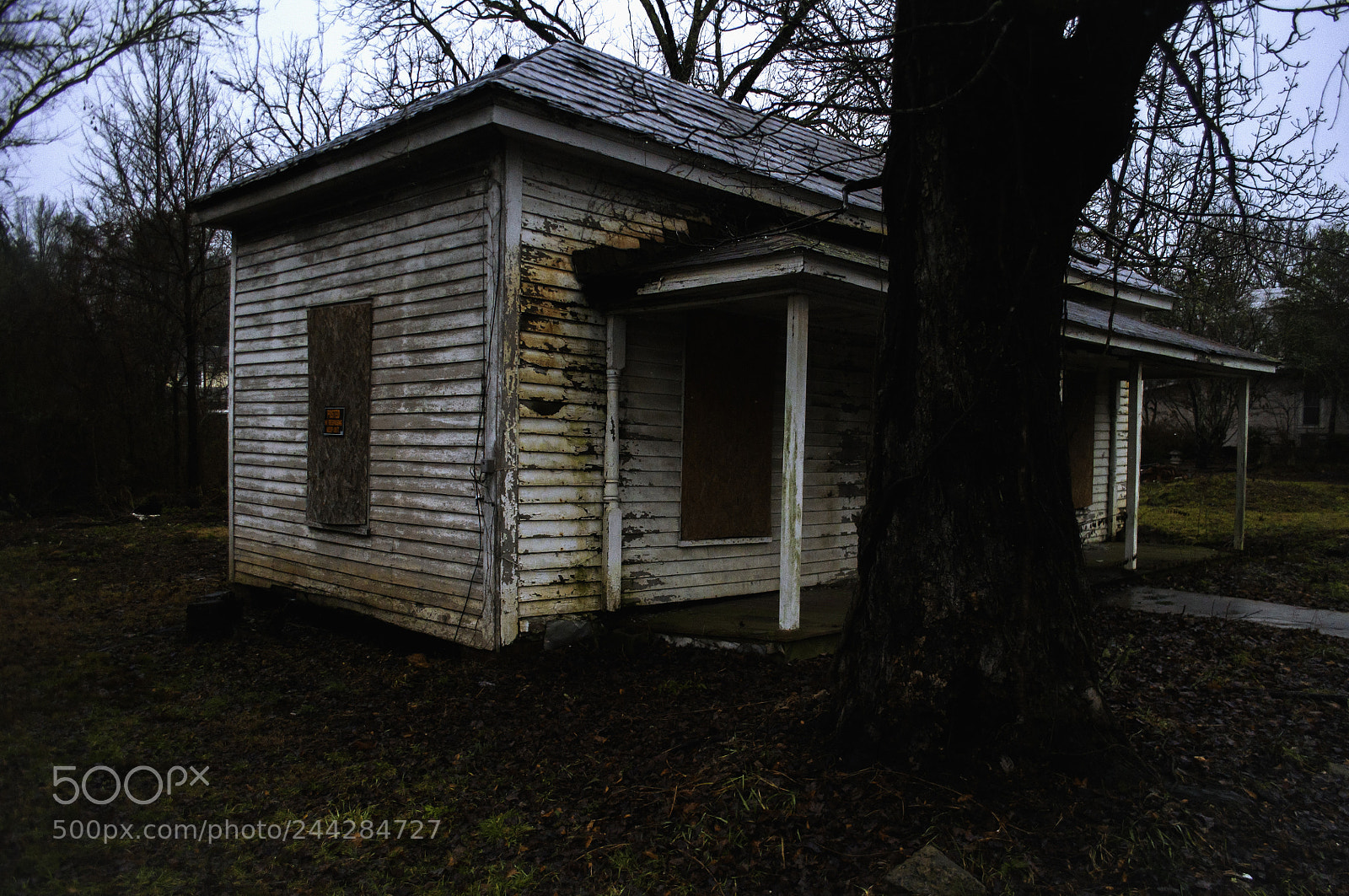 Nikon D5000 sample photo. Hidden house photography