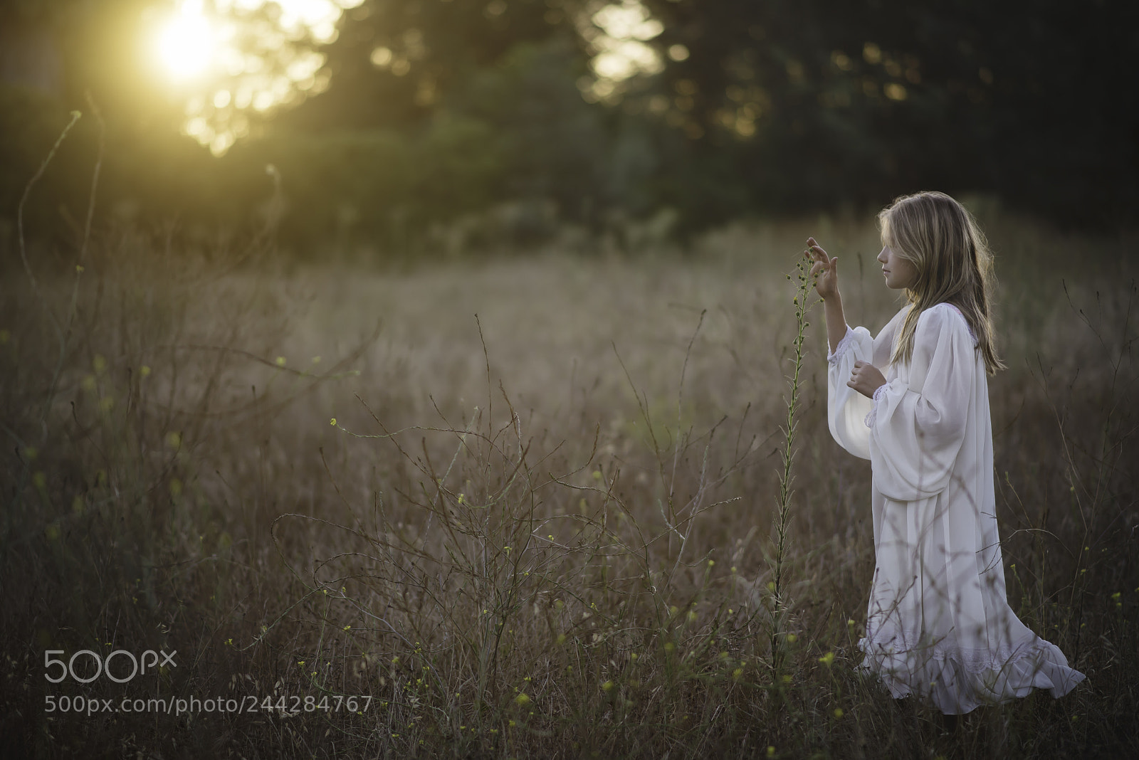 Nikon D610 sample photo. #summer photography
