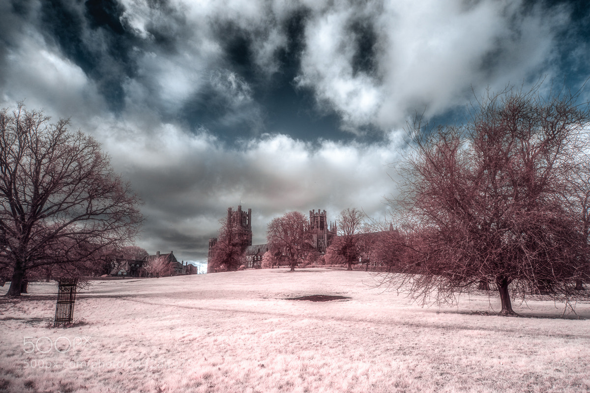 Sony a7 sample photo. Ely cathedral infrared photography