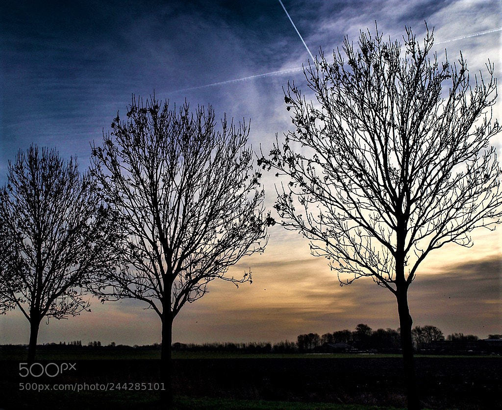 Olympus E-520 (EVOLT E-520) sample photo. Kralingerpolder photography