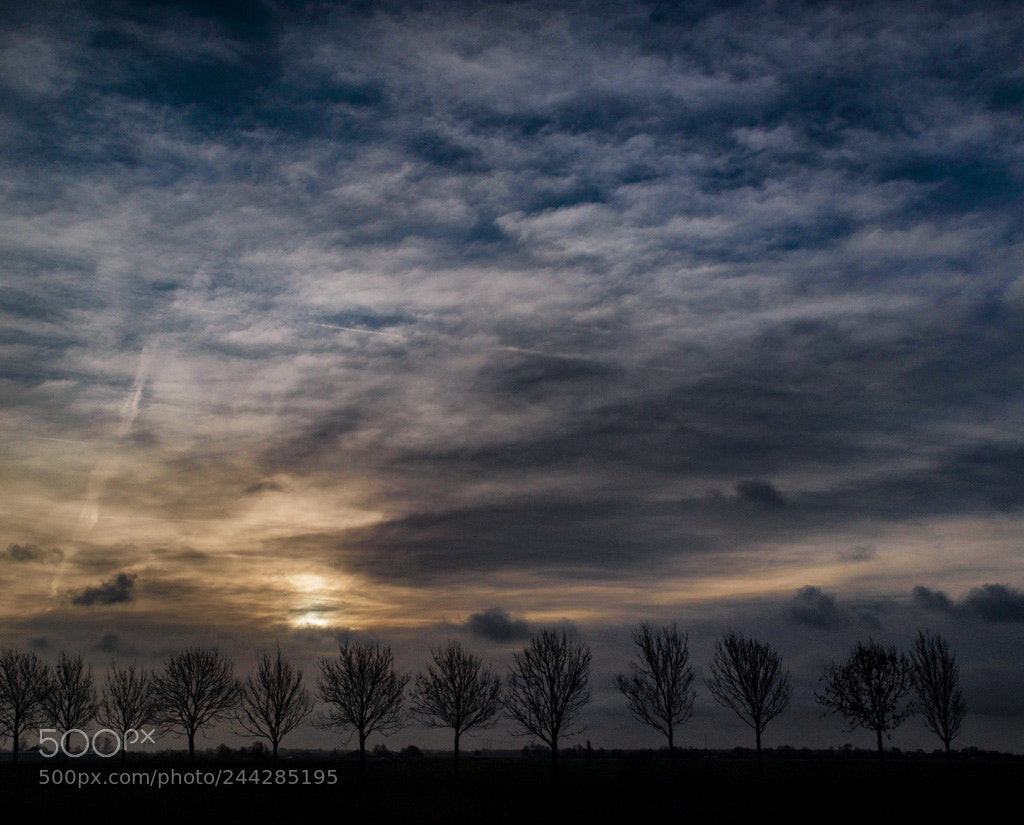 Olympus E-520 (EVOLT E-520) sample photo. Kralingerpolder photography