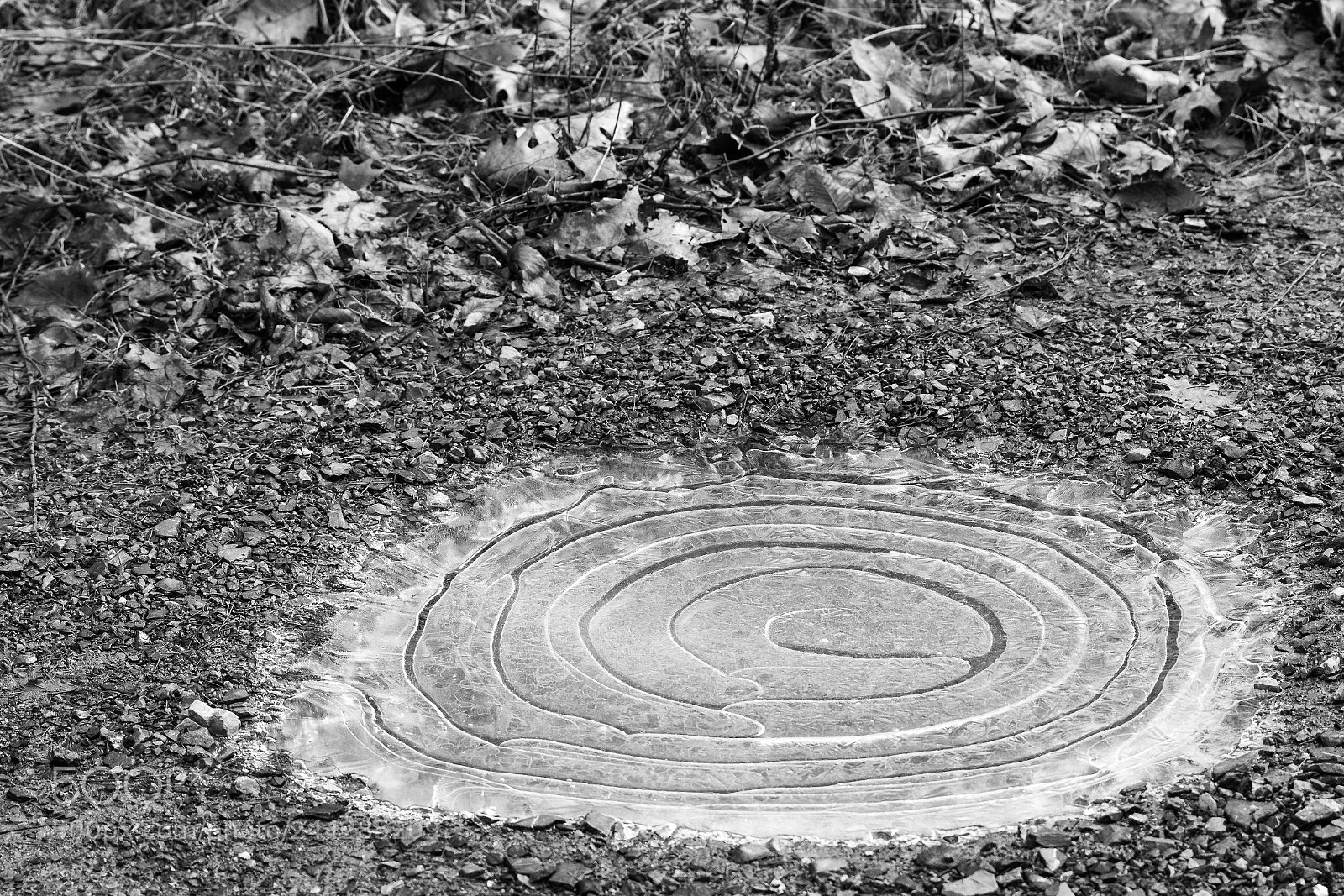 Nikon D7100 sample photo. Winter walk photography