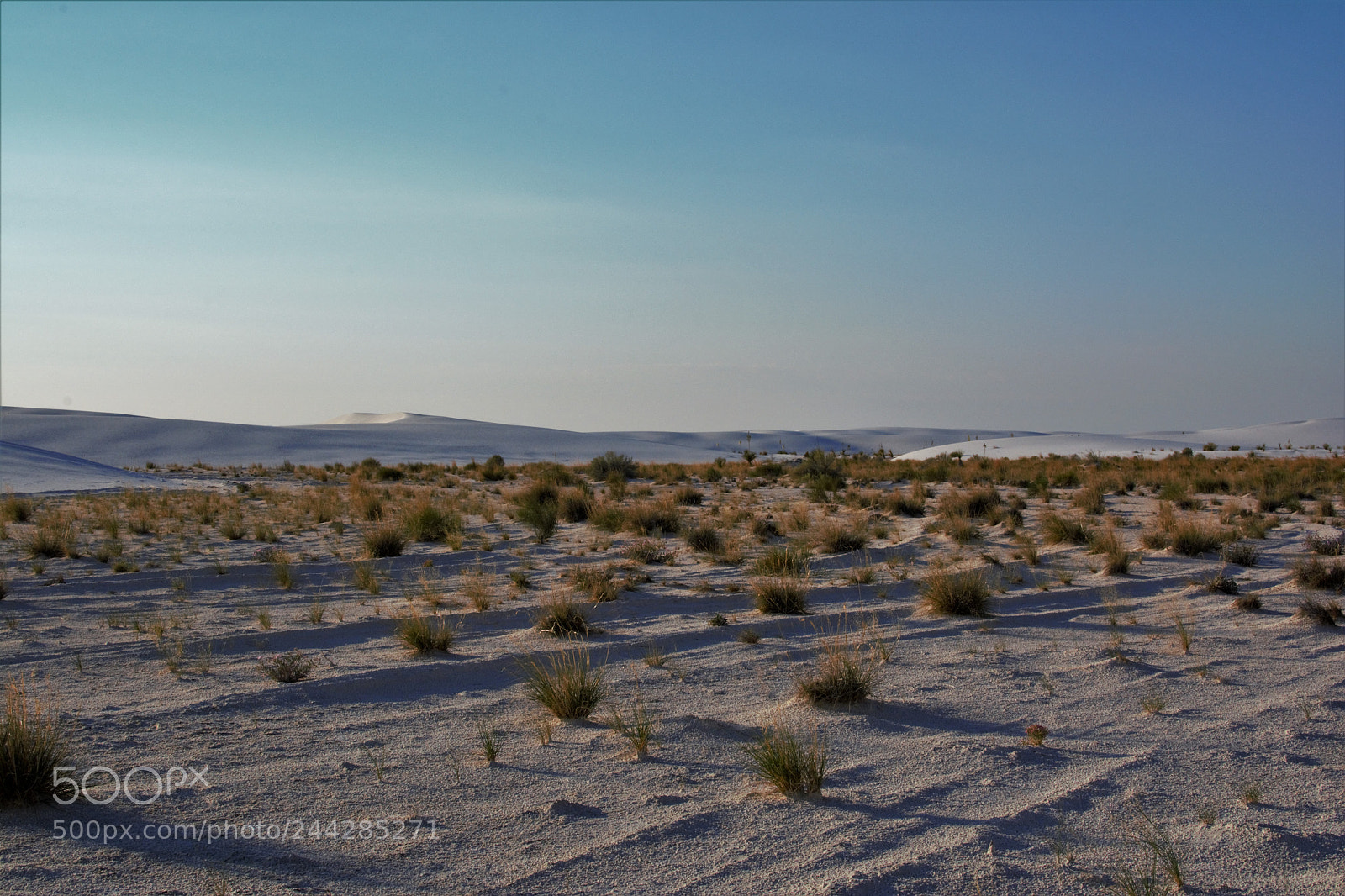 Nikon D7100 sample photo. White sands nm photography