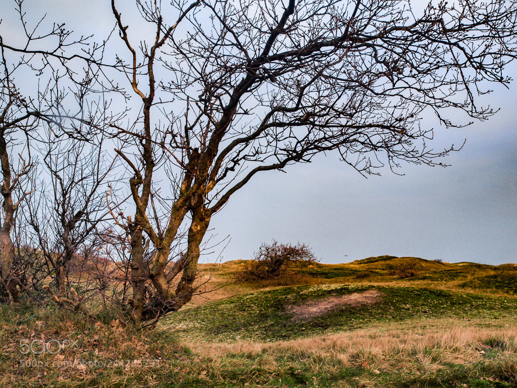 Olympus E-520 (EVOLT E-520) sample photo. Solleveld photography