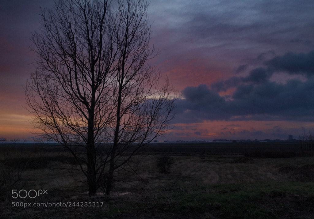 Olympus E-520 (EVOLT E-520) sample photo. Polder de haak photography
