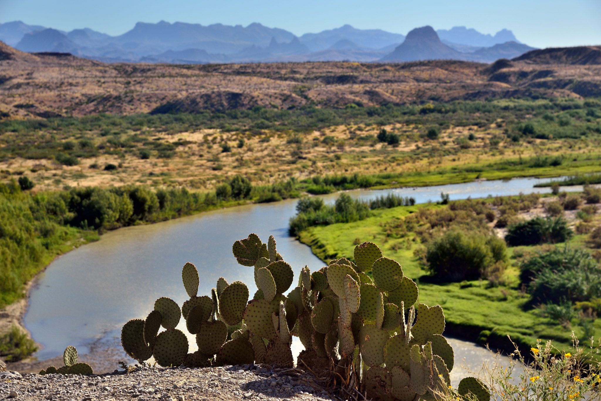 Nikon D800E + Nikon AF-S Nikkor 24-120mm F4G ED VR sample photo. Cactus plants and a view beyond to big bend and the chisos mountains photography