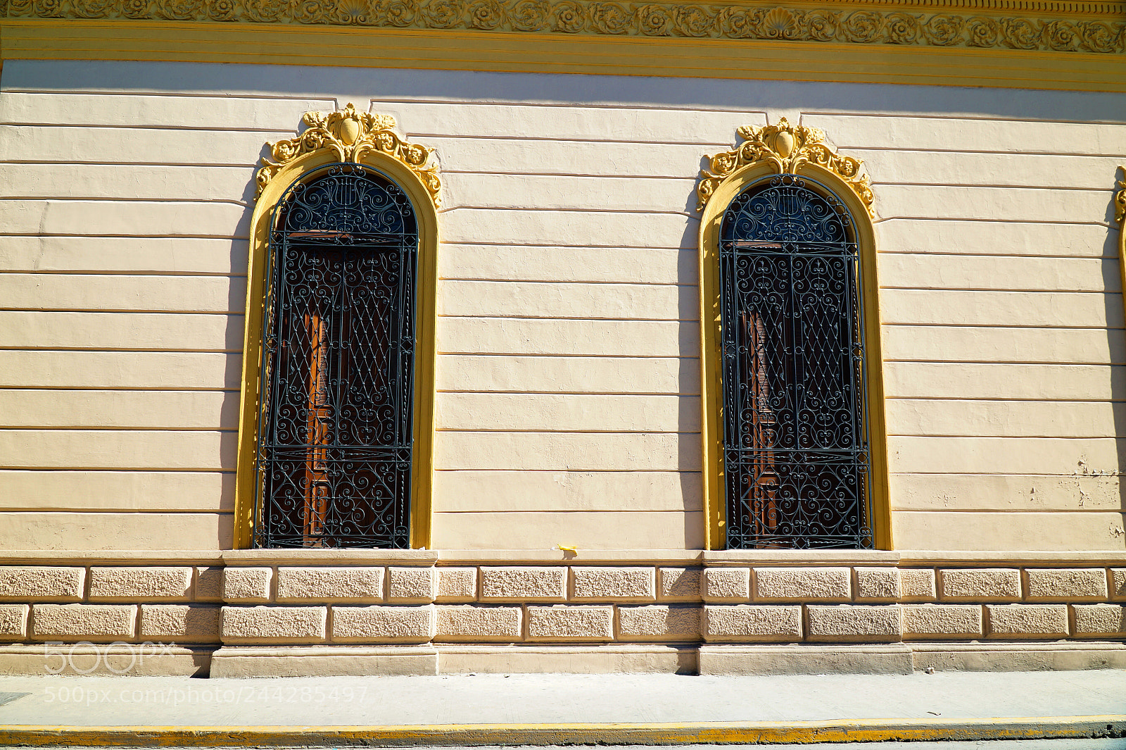 Sony Alpha a3500 sample photo. Beautiful protection photography