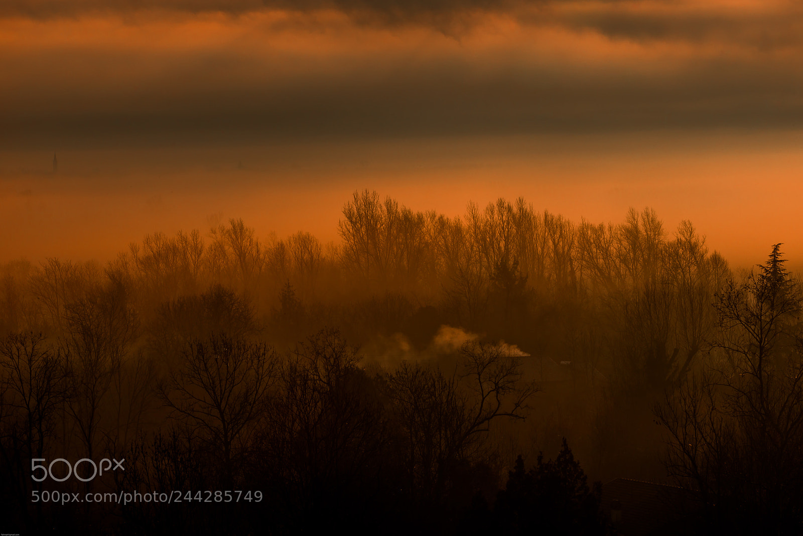 Nikon D800 sample photo. The fog in the photography