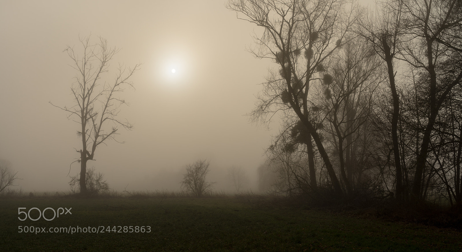 Sony a7R sample photo. . photography