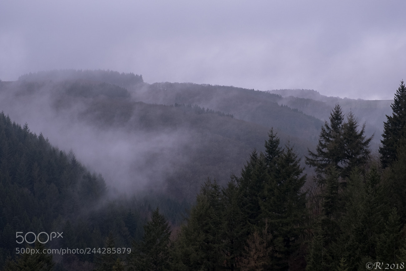 Fujifilm X-T2 sample photo. Smoky mountains photography