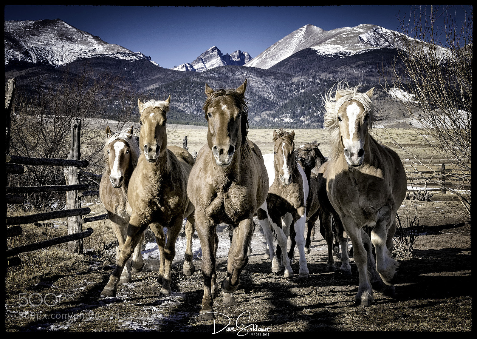 Sony a9 sample photo. Colorado photography