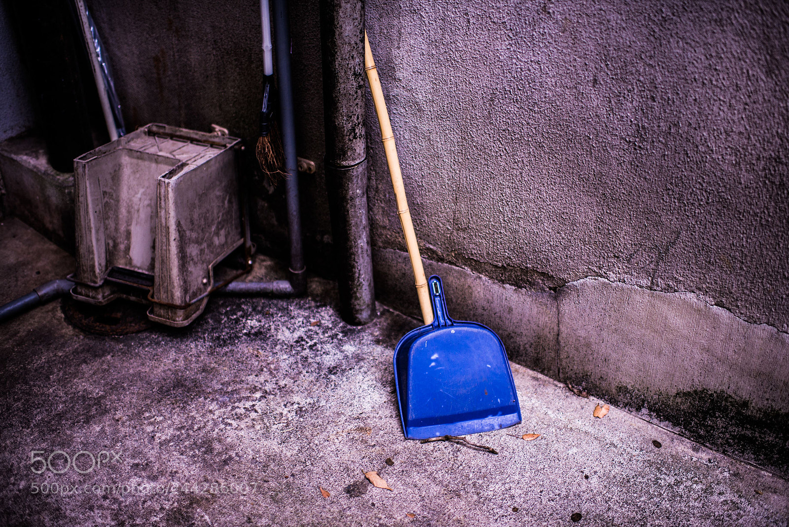 Nikon D800 sample photo. ジャンクフォト / junkphoto photography