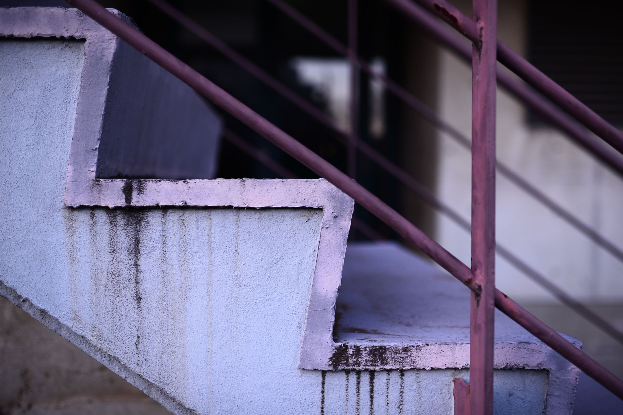 Nikon D800 + Nikon AF-S Nikkor 35mm F1.4G sample photo. ジャンクフォト / junkphoto photography