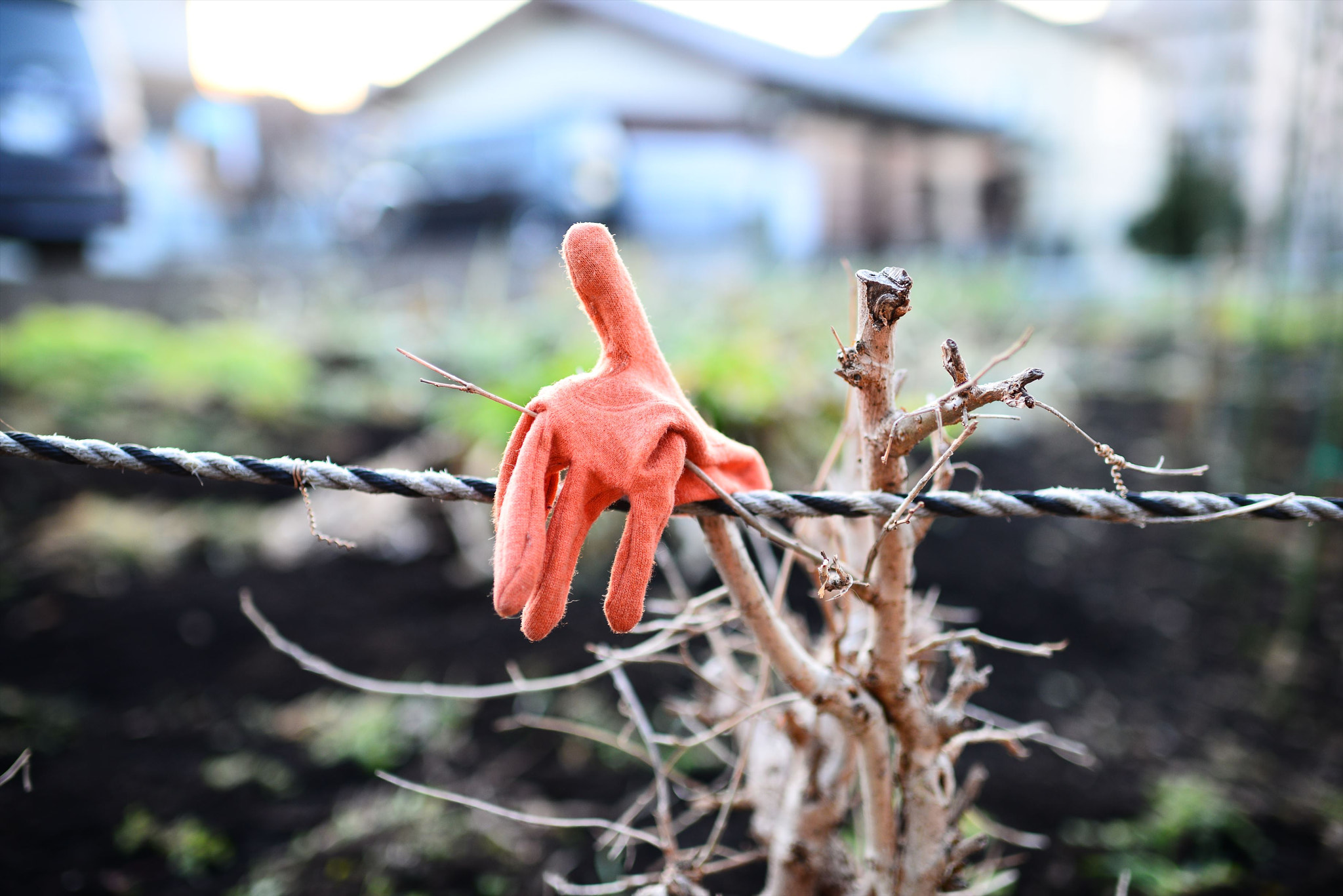 Nikon AF-S Nikkor 35mm F1.4G sample photo. ジャンクフォト / junkphoto photography