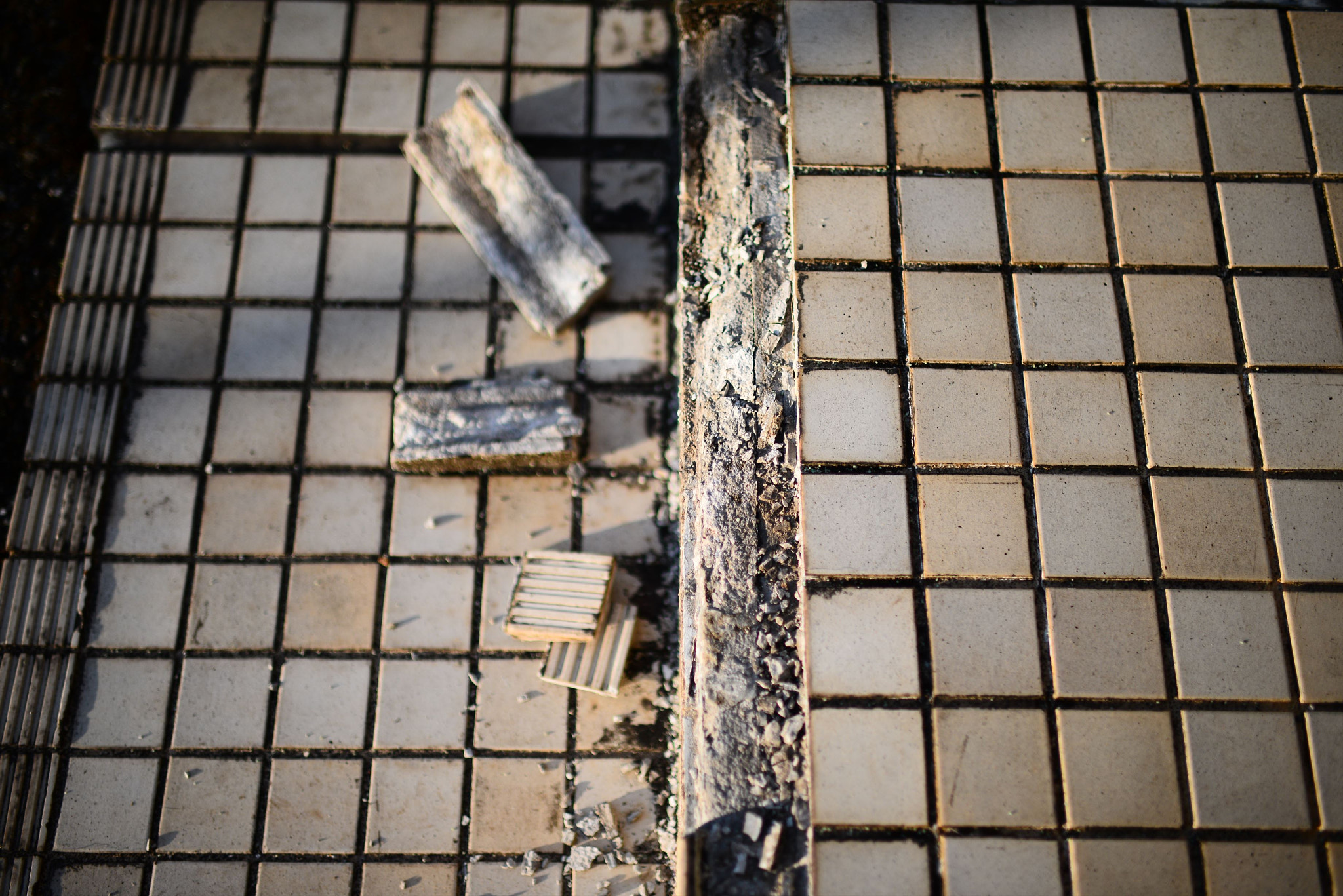 Nikon D800 + Nikon AF-S Nikkor 35mm F1.4G sample photo. ジャンクフォト / junkphoto photography
