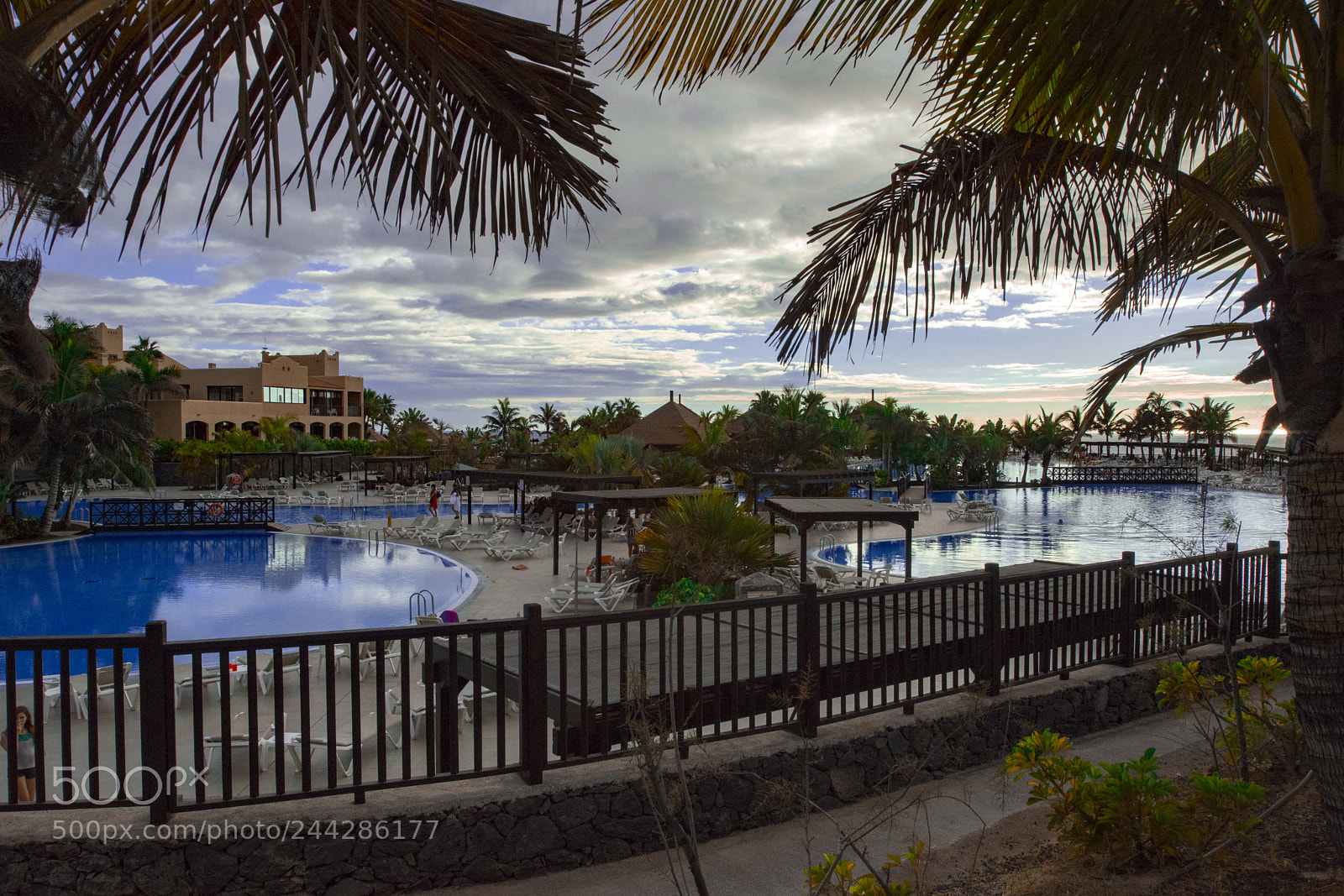 Nikon D800 sample photo. Untitled photography