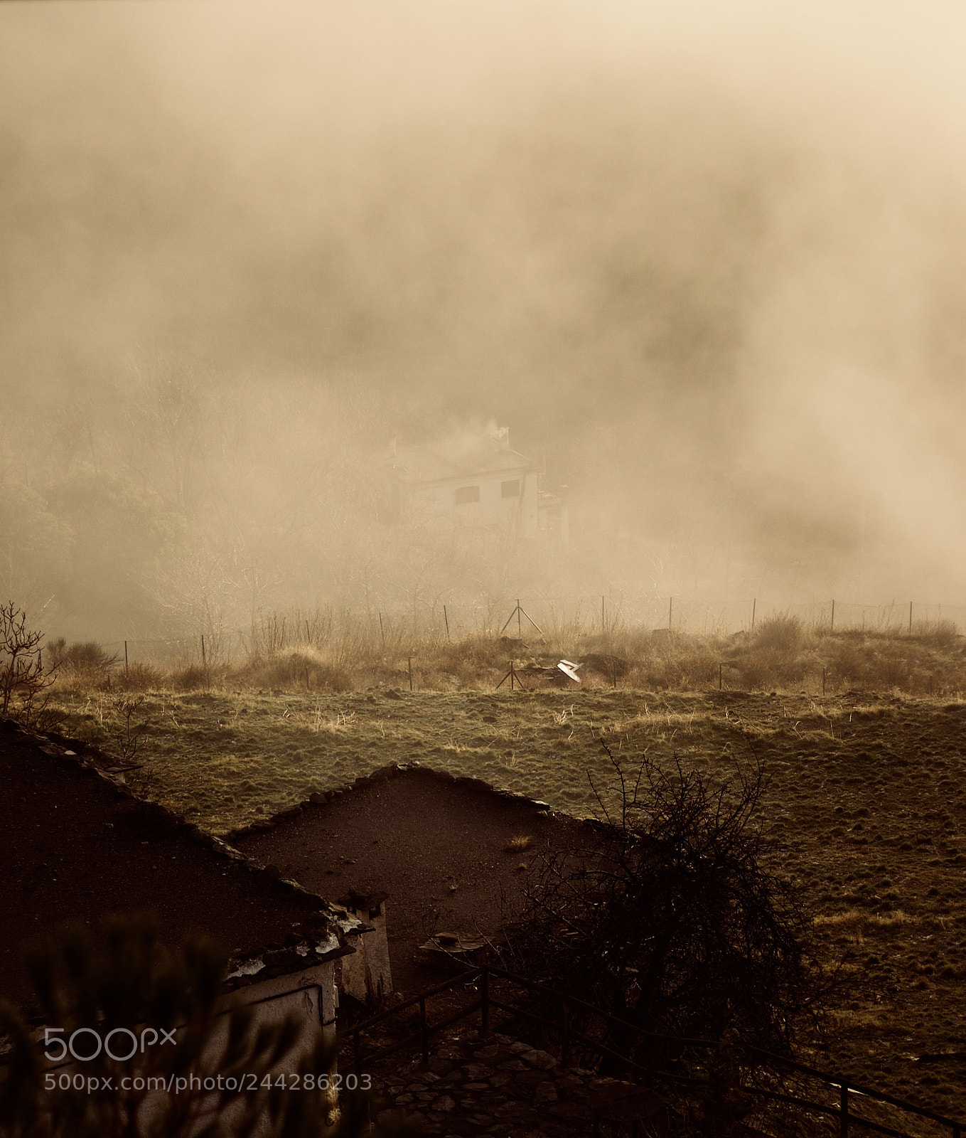 Canon EOS 10D sample photo. Misty morning photography