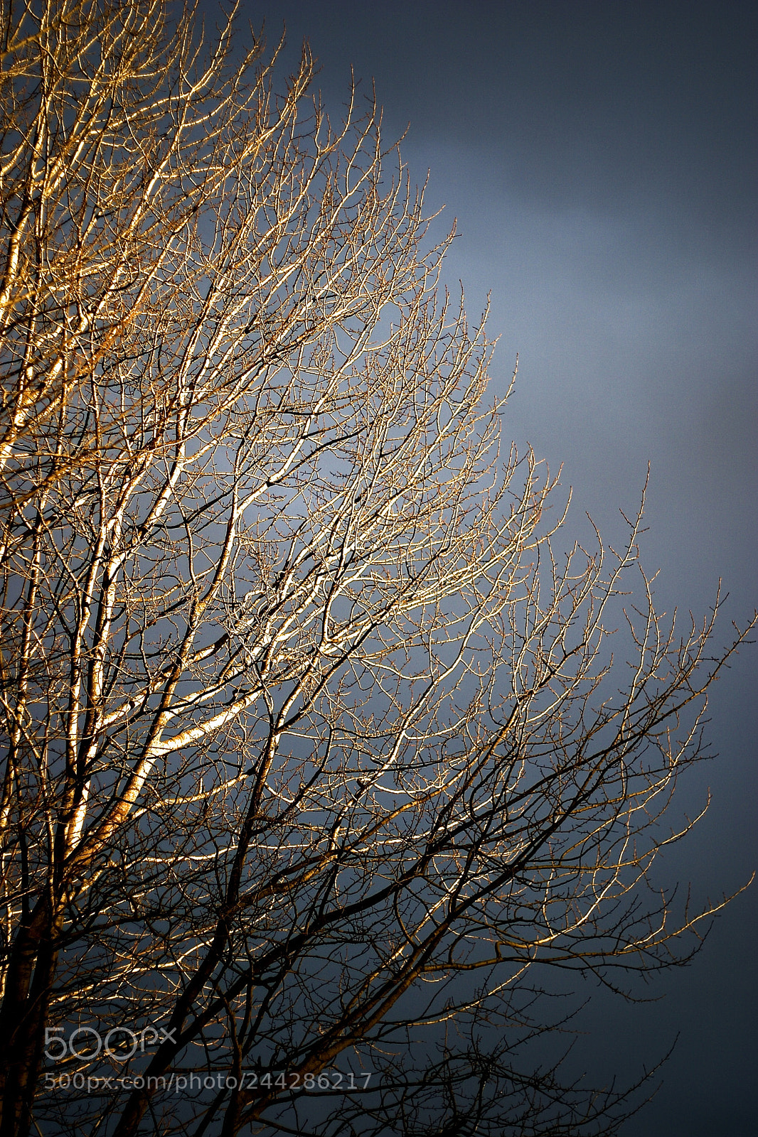 Canon EOS 10D sample photo. To the light photography