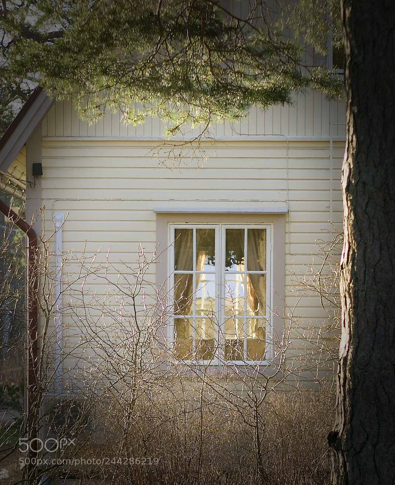 Canon EOS 10D sample photo. See through photography