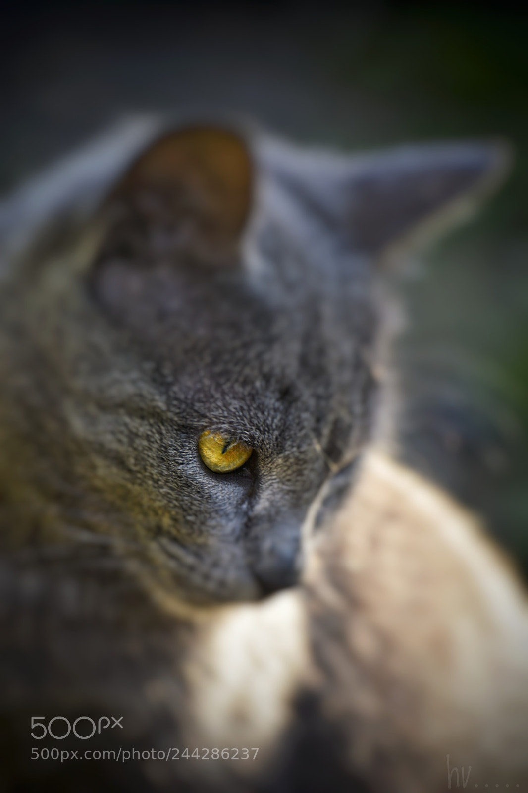 Nikon D7100 sample photo. Words with no words photography