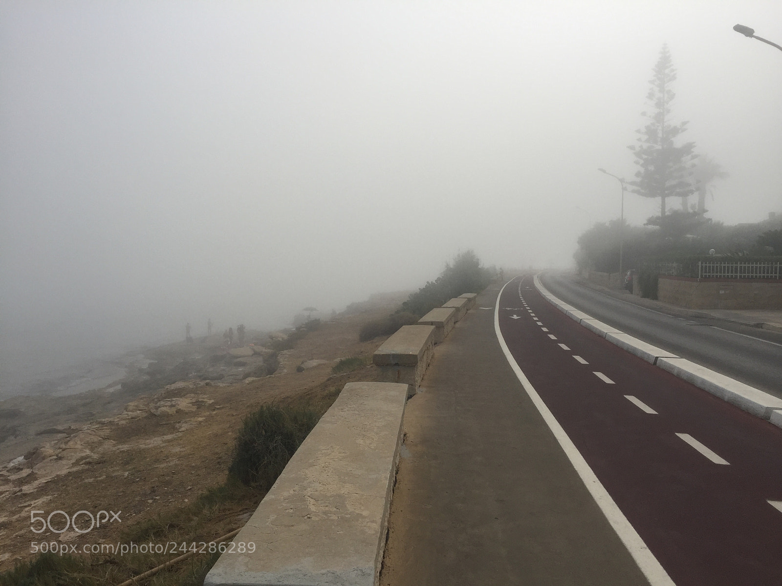 Apple iPhone 6 sample photo. Sudden fog photography