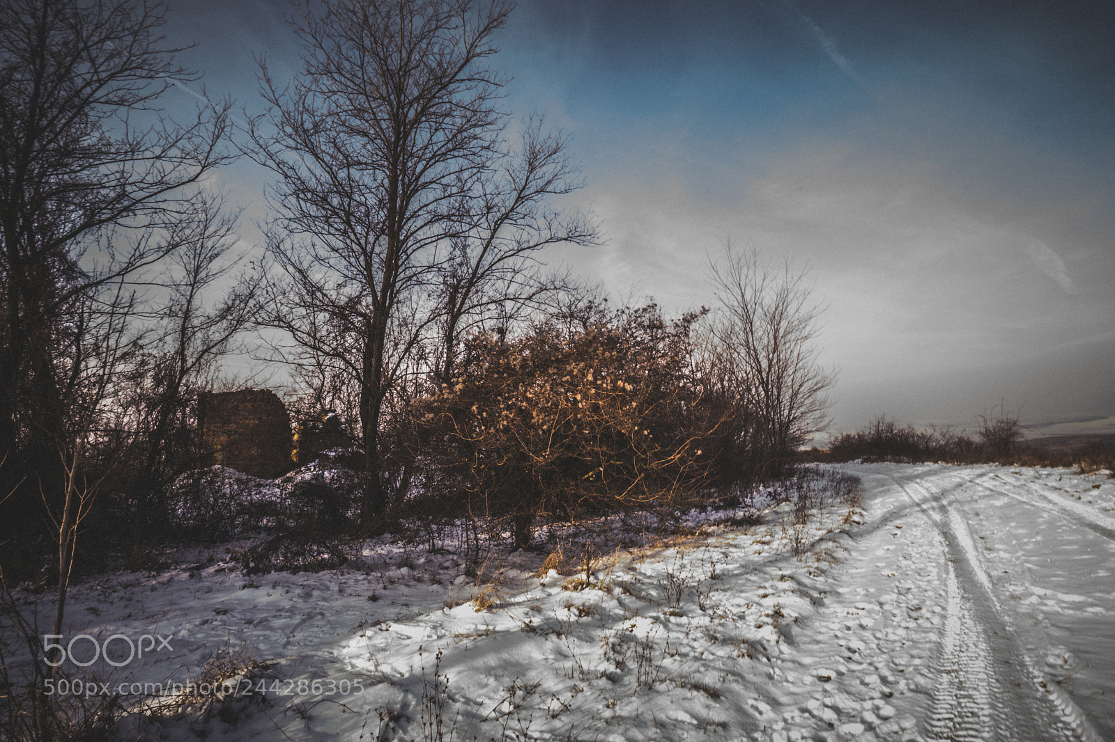 Sony a7 sample photo. Bt photography
