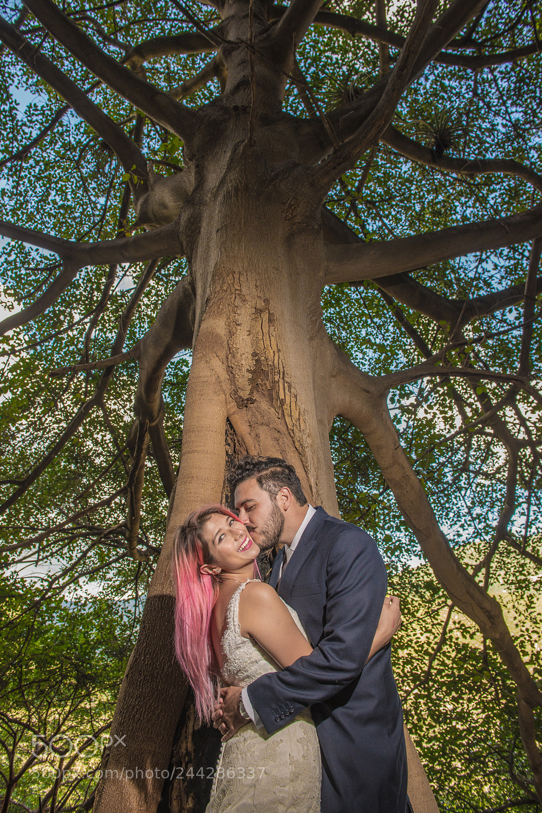 Nikon D600 sample photo. Myl photography