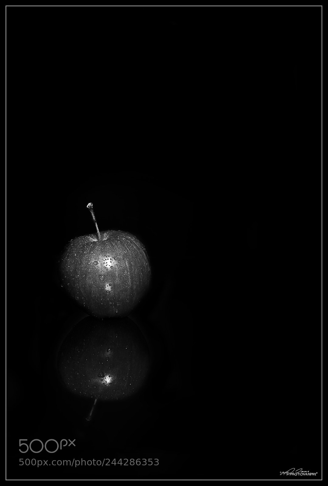 Leica M Monochrom (Typ 246) sample photo. Apple photography